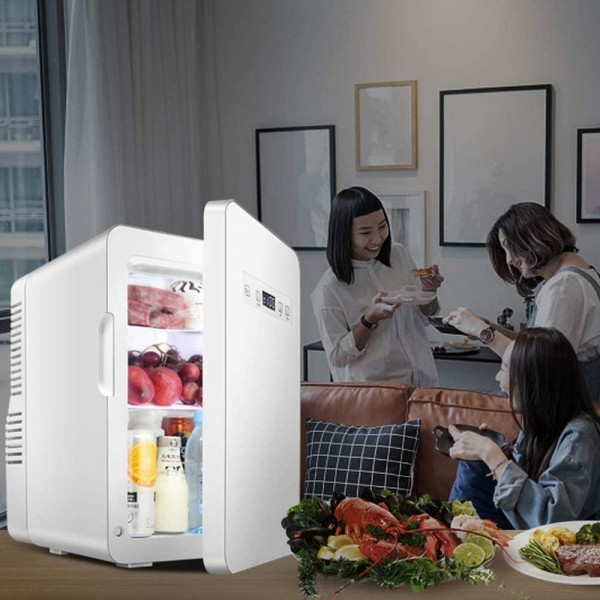 BJL Car Refrigerator-22L Refrigerated Frozen Car Mini Refrigerator Home Dormitory Apartment Car Dual-use Energy-Saving Portable Small Refrigerator Car Refrigerator (Color : Household)